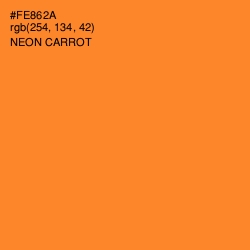 #FE862A - Neon Carrot Color Image